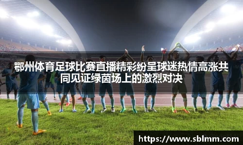 鄂州体育足球比赛直播精彩纷呈球迷热情高涨共同见证绿茵场上的激烈对决